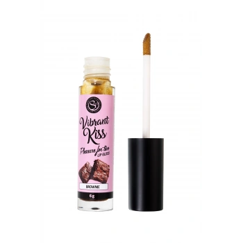 VipMarketim SECRET PLAY Çikolatalı Kurabiye Aromalı Dudak  Parlatıcısı, 6 gr