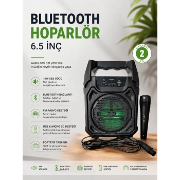VipMarketim Bluetooth Hoparlör Mikrofonlu Taşınabilir Ses Sistemi FM Radyo USB SD Kart ve TWS Özellikli