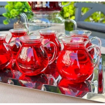 VipMarketim Borosilikat Cam Bardak 6 Adet