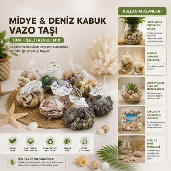 VipMarketim Dekoratif Vazo Taşı - Midye ve Deniz Kabuğu - Fileli Renkli Mix