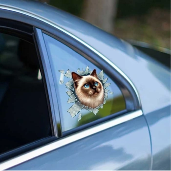 VipMarketim Fulcar Siamesse Araç Stickerı