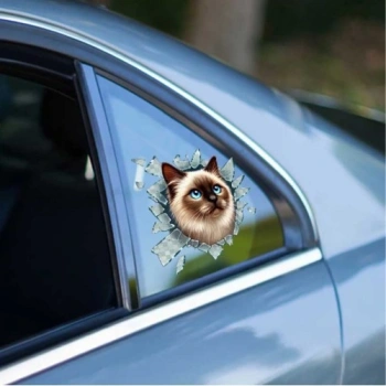 VipMarketim Fulcar Siamesse Araç Stickerı