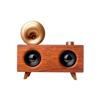 VipMarketim Gramafon Nostaljik Radyo Yüksek Ses Kalitesi USB TF Kart Aux