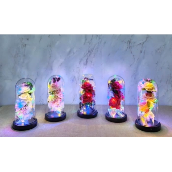 VipMarketim Işıklı Müzikli Cam Fanus İçinde Romantik Gül