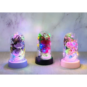 VipMarketim Işıklı Müzikli Romantik Fanus Tekli Gül