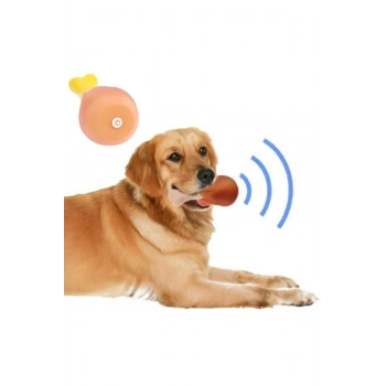 VipMarketim Köpekler İçin Sesli Oyuncak Tavuk Butu