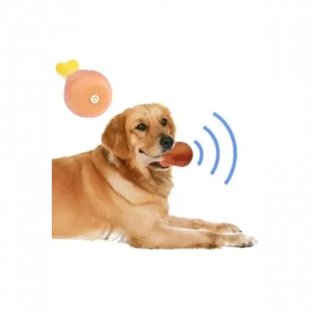 VipMarketim Köpekler İçin Sesli Oyuncak Tavuk Butu