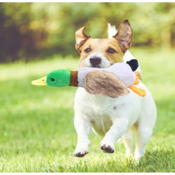 VipMarketim Sesli Ördek Şekilli Peluş Köpek Oyuncağı