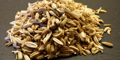 Modern Zamanların Stresine Karşı Bir Nefes: Ayda Çayı