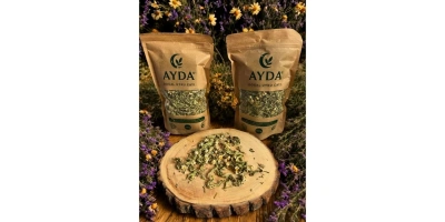 Sağlık ve Hikmet Kaynağı