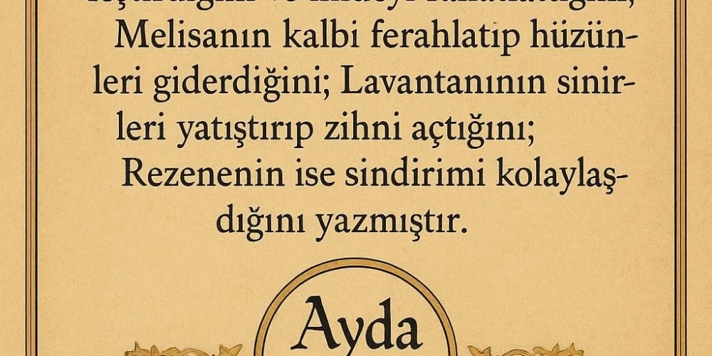 Ayda Çayı Türk Üniversiteleri Araştırması