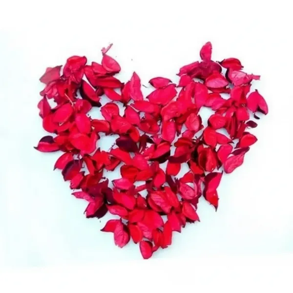 Kuru Gül Yaprakları Kırmızı (100 gr)