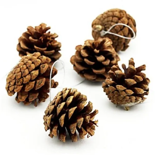 Çam Ağacı Süsleri Natürel Kozalak 6 Adet 5 cm