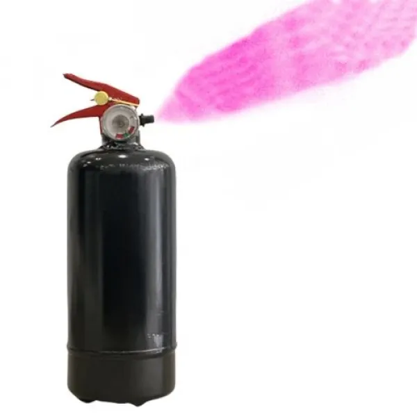 Cinsiyet Belirleme Tüpü Pembe 1 kg