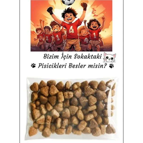 Futbol Hediyelik Kedi Maması Erkek 5 Adet
