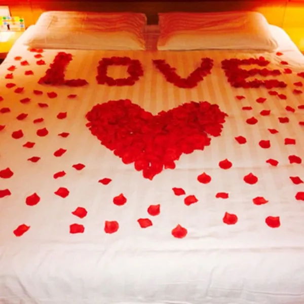 Kırmızı Gül Yaprakları Yapay (500 Adet)