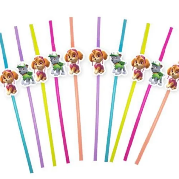 Paw Patrol Skye & Rocky Artistik Pipet 10 Adet