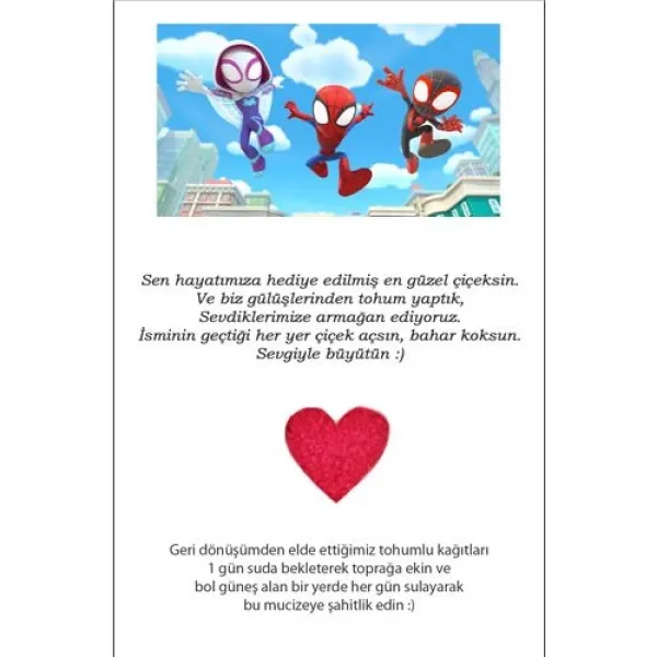 Spidey Hediyelik Tohum Kartı 5 adet