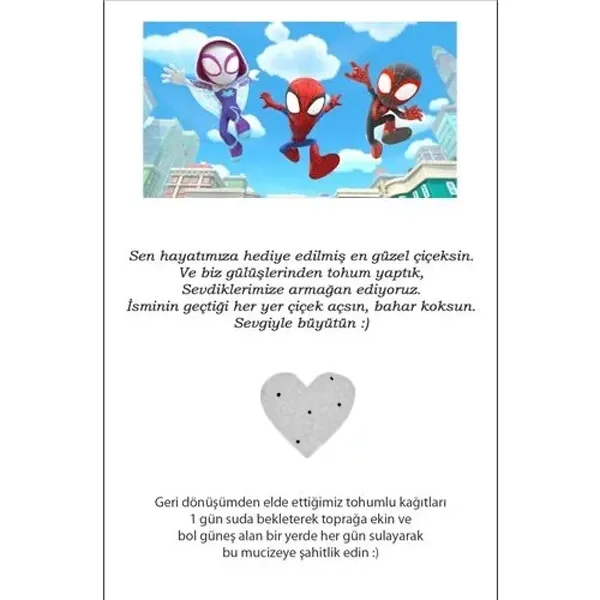 Spidey Hediyelik Tohum Kartı (5 Adet)
