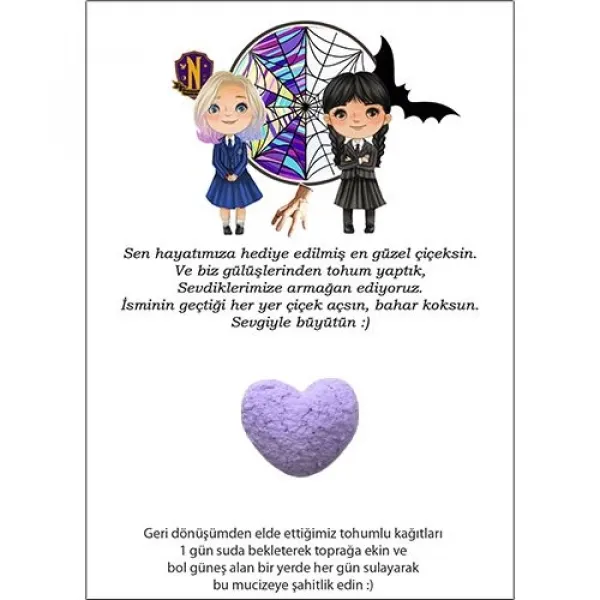 Wednesday Hediyelik Tohum Kartı 5 adet