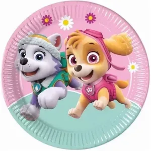 Paw Patrol Skye ve Everest