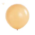 Ten Rengi Pastel Jumbo Balon (18 inch / 45 cm)