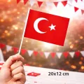 Ay Yıldız Çıtalı Türk Bayrağı (20x12 cm 10 Adet)
