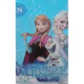 Frozen Plastik Masa Örtüsü (120x180 cm)