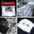 Beyaz Renk Örümcek Ağ ve Siyah Örümcekler Seti 20 gr.