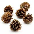 Çam Ağacı Süsleri Natürel Kozalak 6 Adet 5 cm