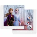 Frozen 2 Elsa Peçete (20 Adet)
