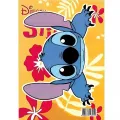16 Sayfa Lilo ve Stitch Boyama Kitabı Stickerlı 1 Adet