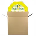 Limon Temalı Pinyata 42 cm + Sopası