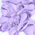Makaron Balon Lila 50 Adet