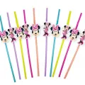 Minnie Mouse Artistik Pipet 10 Adet