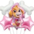 Paw Patrol Skye Folyo Balon Seti (5li)