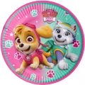Paw Patrol Skye Karton Tabak (8 Adet)
