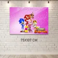 Sonic Boom Doğum Günü Parti Afişi Kız (75x107 cm)