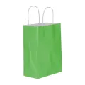 Yeşil Kağıt Çanta (18x24 cm)
