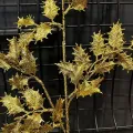 Yılbaşı Gold Simli Yapay Dal Yoğun Yapraklı (70 cm - 1 Adet)