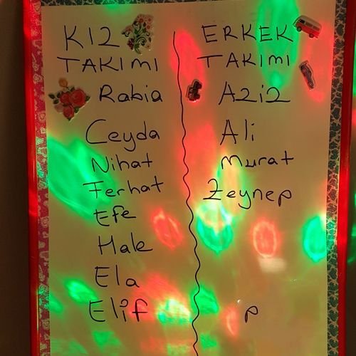 Cinsiyet belirleme partisi