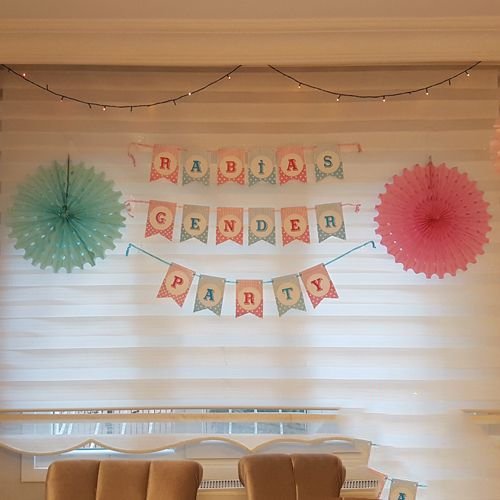 Cinsiyet belirleme partisi Gender party