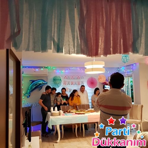 Cinsiyet belirleme partisi Gender party