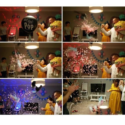 Cinsiyet belirleme partisi Gender party