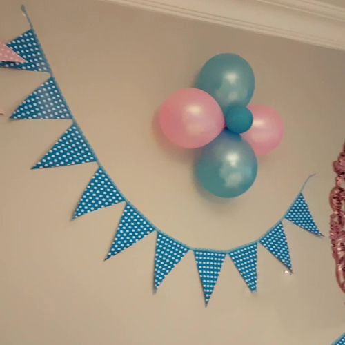 Cinsiyet belirleme partisi Gender party