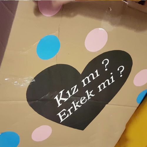 Cinsiyet belirleme partisi