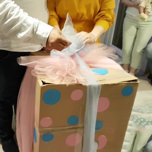 Cinsiyet belirleme partisi Gender party