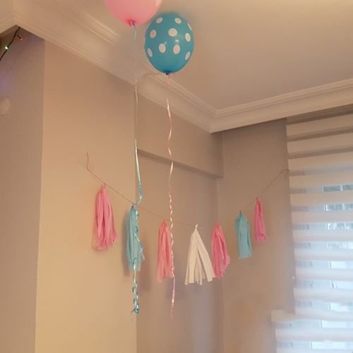 Cinsiyet belirleme partisi Gender party