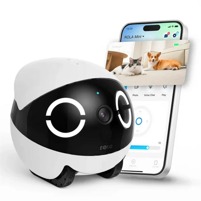 Enabot Rola Mini 2K Kameralı Evcil Hayvan Robotu - Akıllı Takip