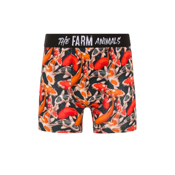 Farm Animals Koi Fishes Desenli Boxer